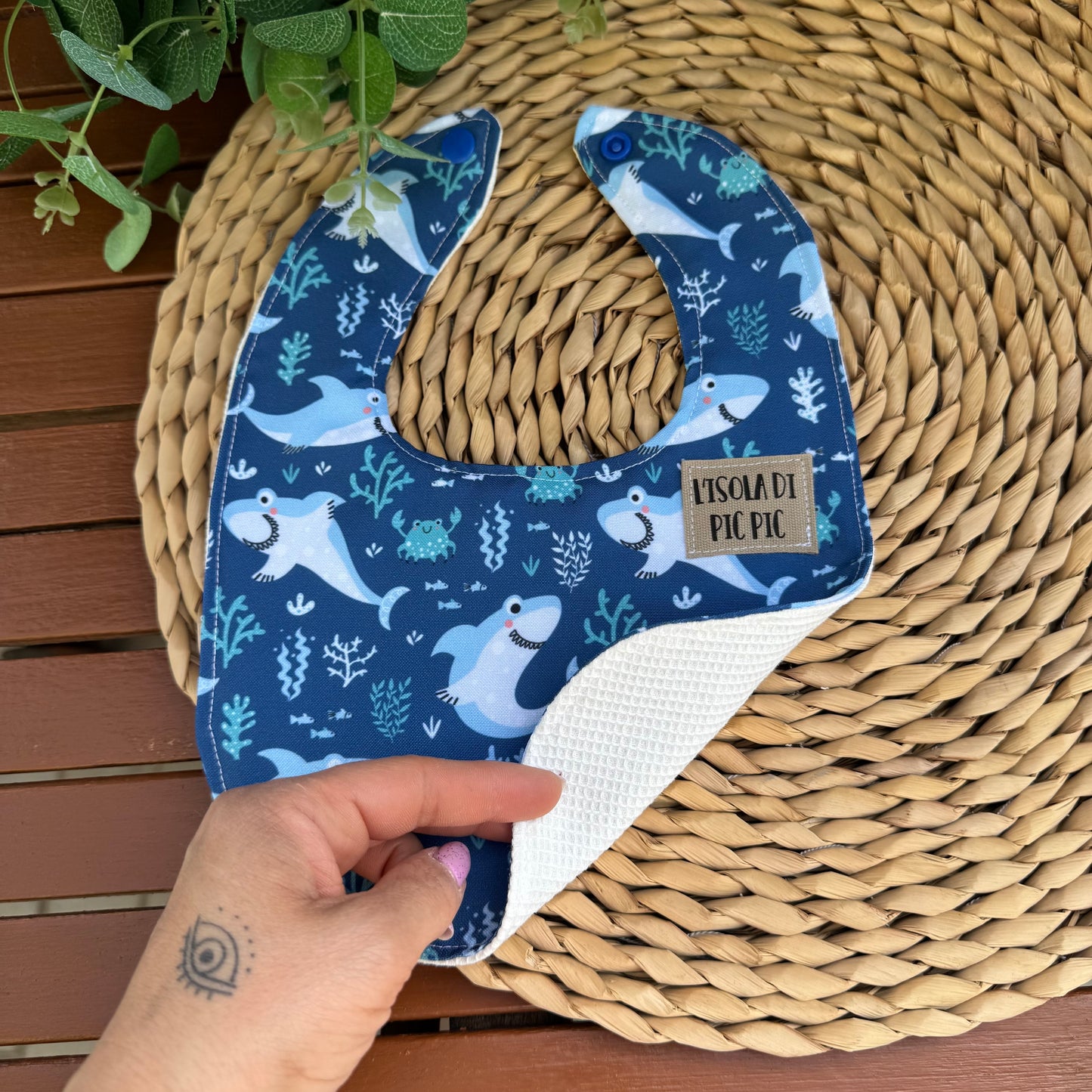 Bavaglino nascita SQUALO