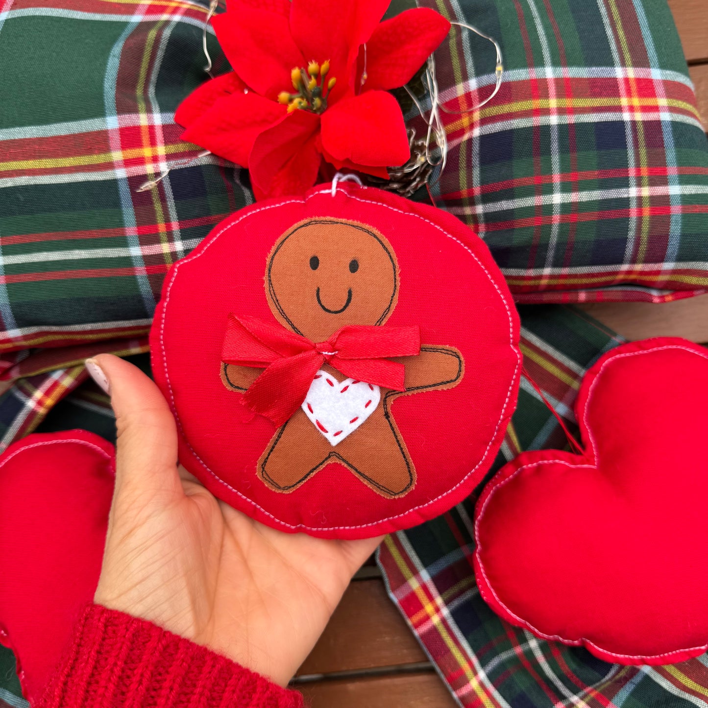 Fiocco di NATALE luminoso