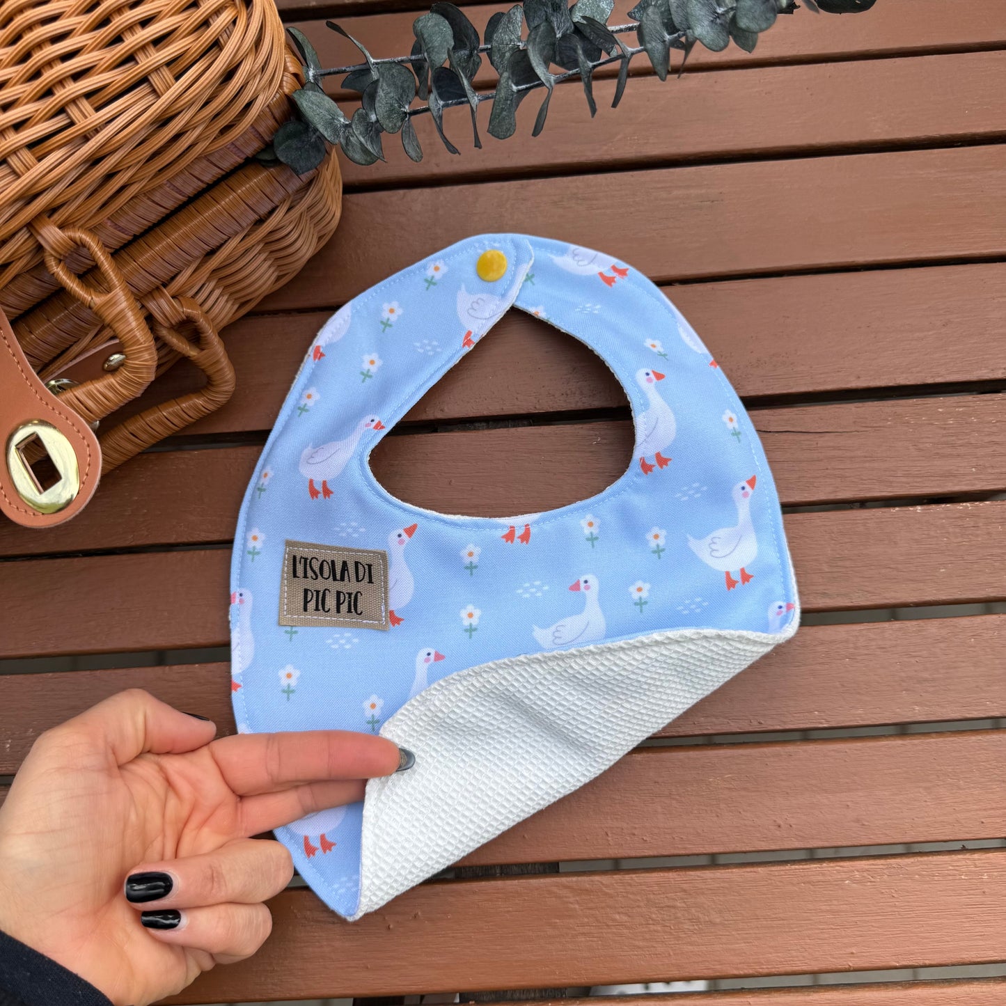 Bavaglino nascita PAPERELLE