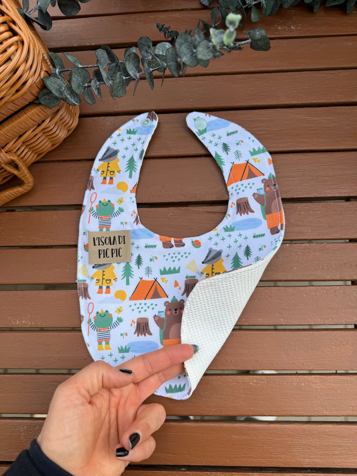 Bavaglino nascita CAMPEGGIO