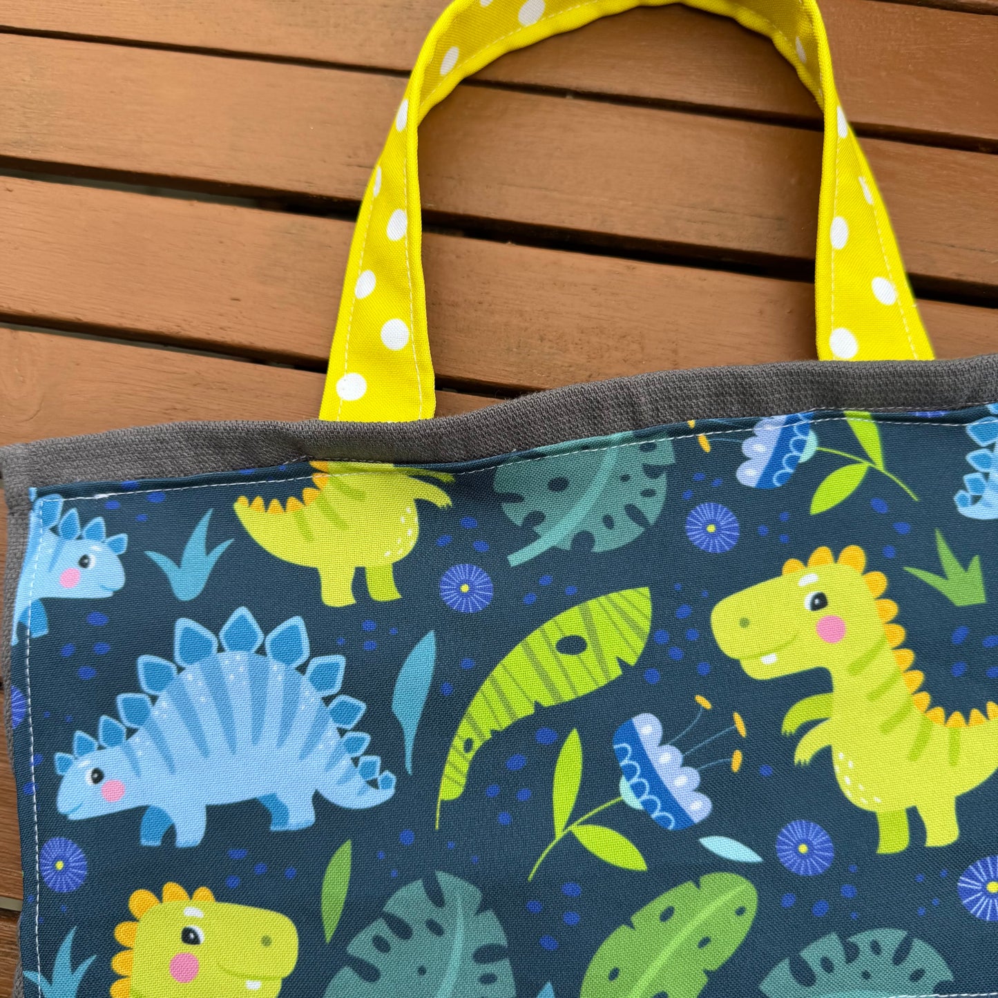 Set asilo DINOSAURO