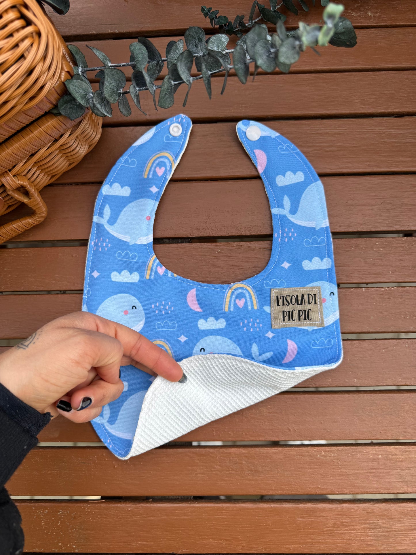 Bavaglino nascita BALENA